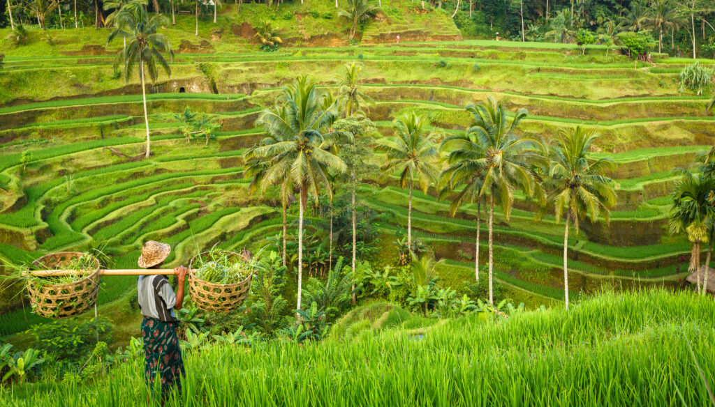Bali makes for a great travel destination all year round.