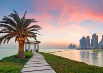Doha with palm at dramatic sunset, Qatar