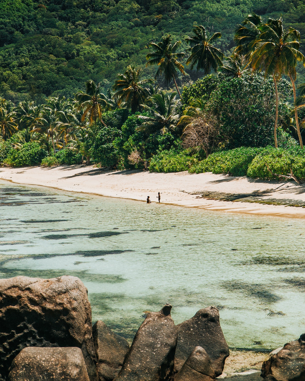 People on a Seychelles beach