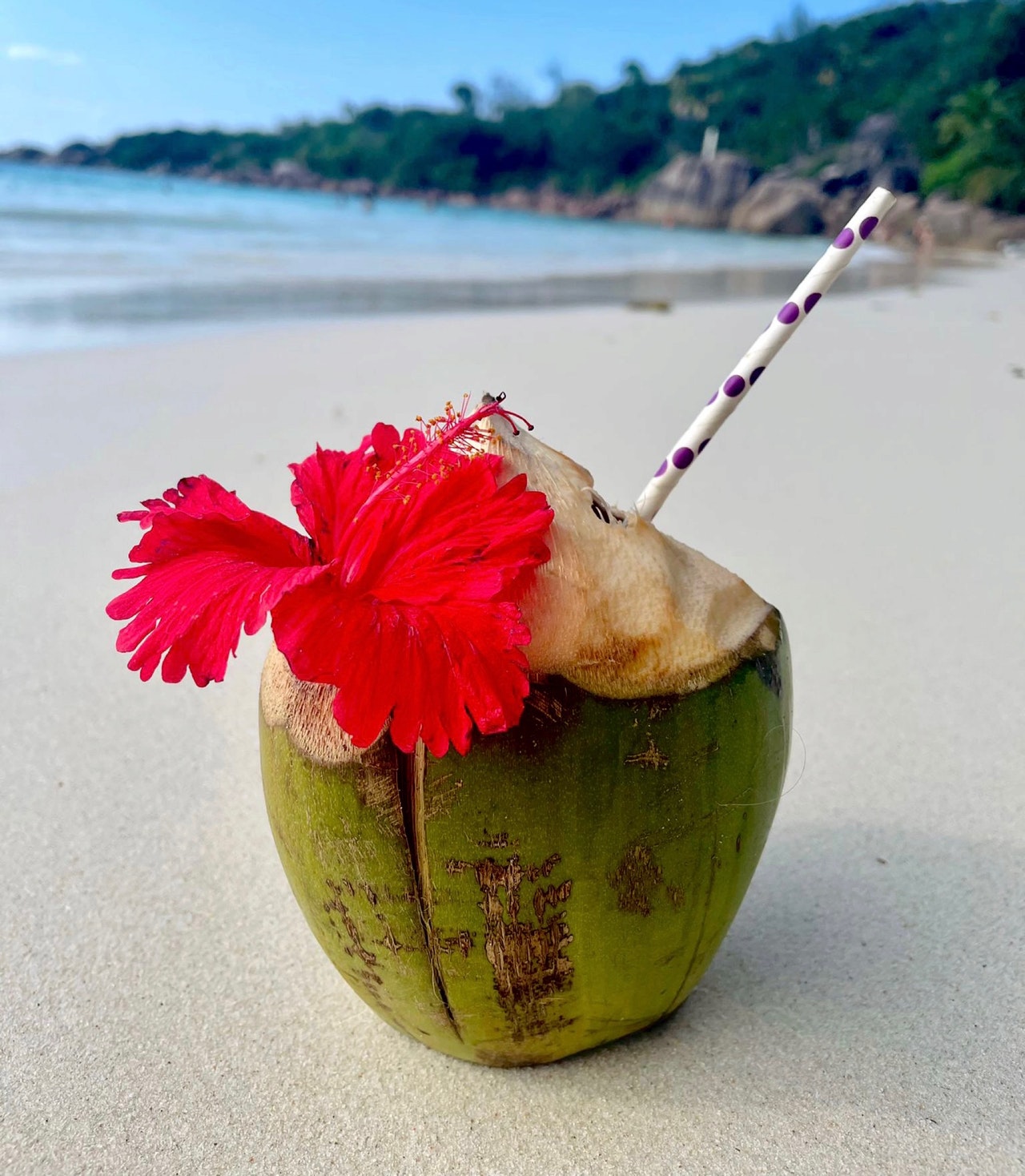 Seychelles coconut drink on beach