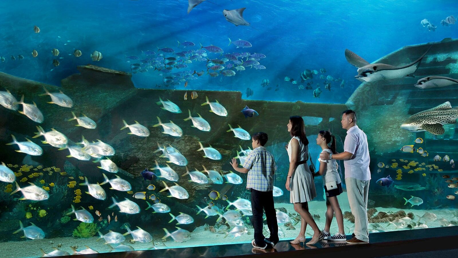 S.E.A Aquarium Singapore