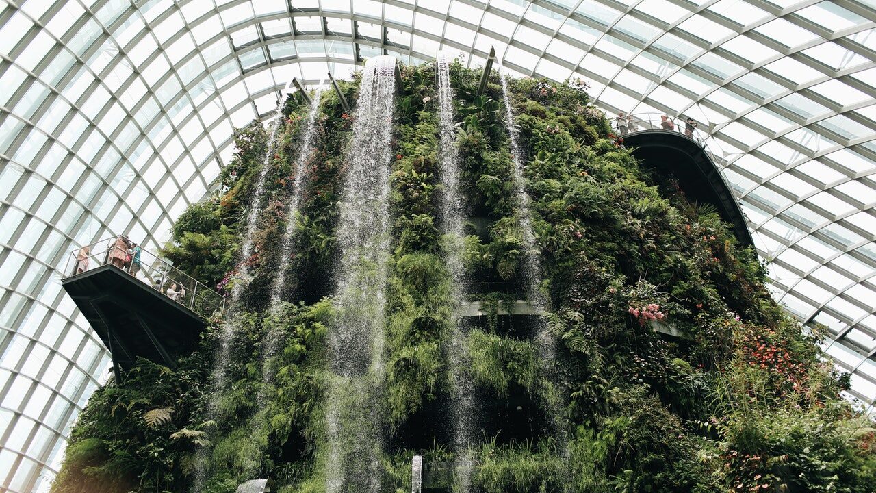 Cloud forest Singapore waterfall